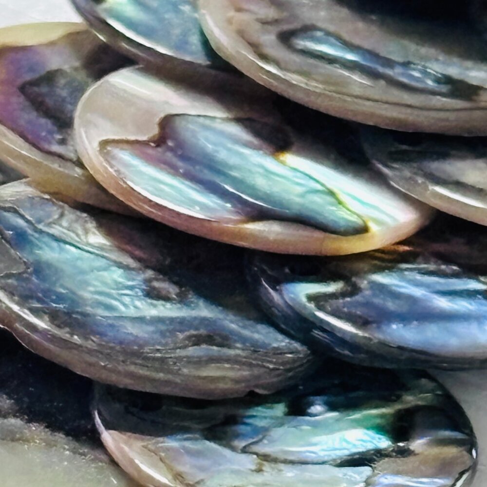 Abalone Shell Disc Bib Necklace Iridescent Statement Collar - Picture 7 of 13